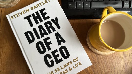 The Diary of a CEO